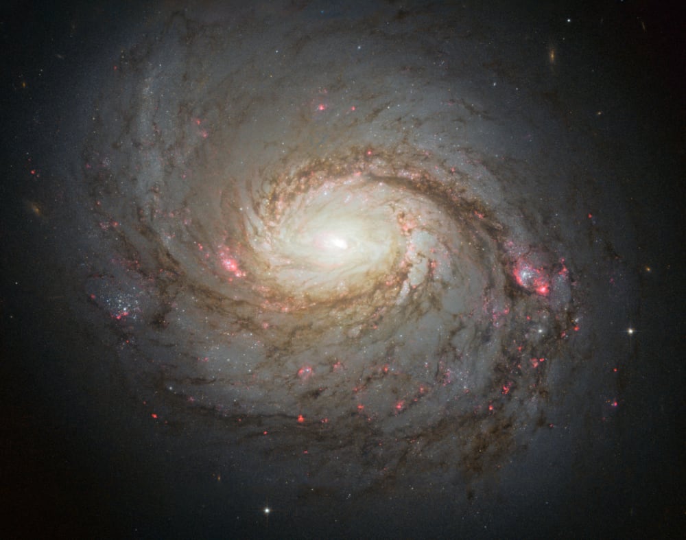 IceCube neutrinos give us first glimpse into the inner depths of an active galaxy