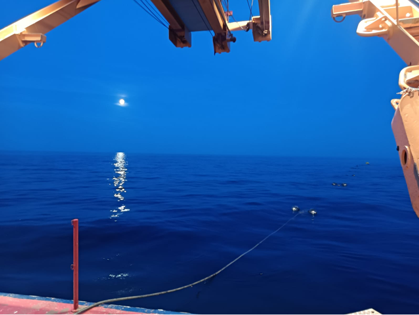 ANTARES : two decades of neutrino searches in the Mediterranean Sea