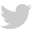 Twitter bird